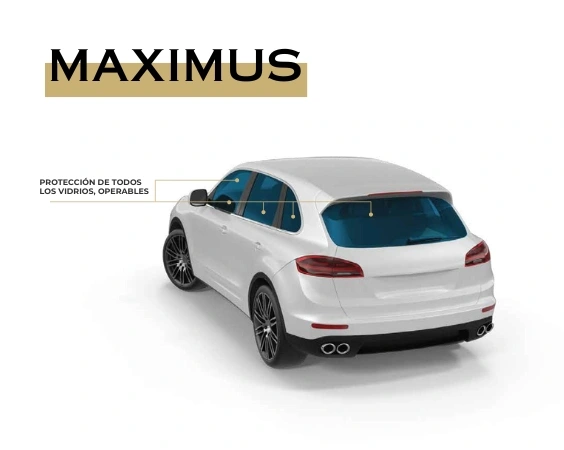 MAXIMUS-PAGINA-1